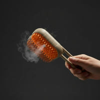 Cat Steam Brush